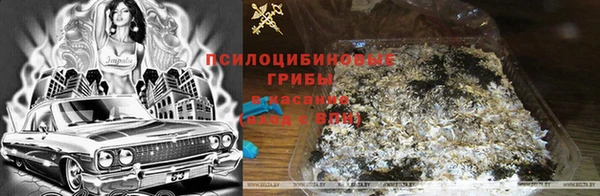 мескалин Бородино